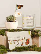 Kit Transformación Sublime